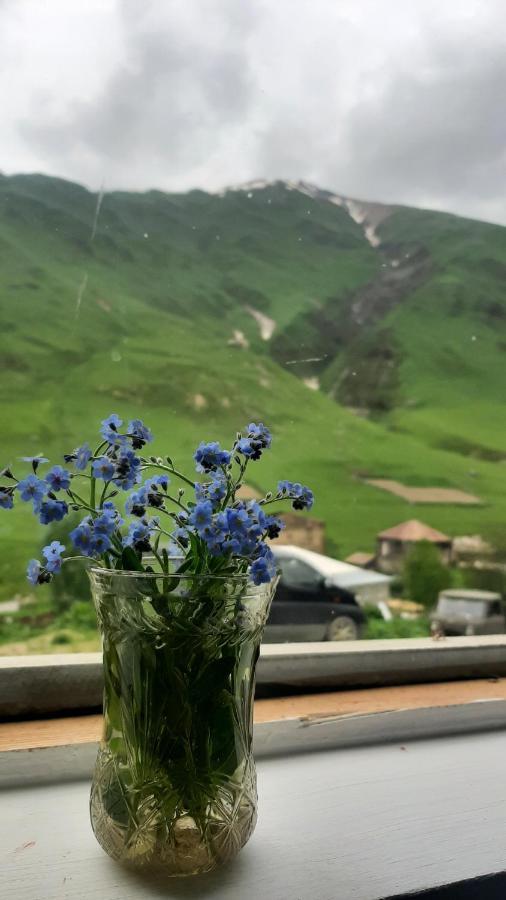Guesthouse Svanuri Sakhli Ushguli Esterno foto